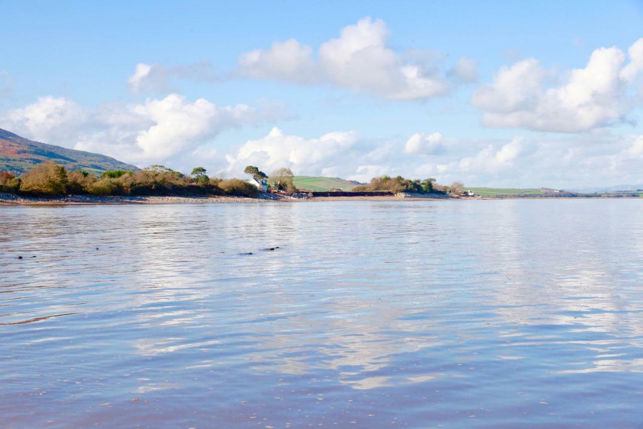 Lapwing, Skylark & Curlew Seaside
