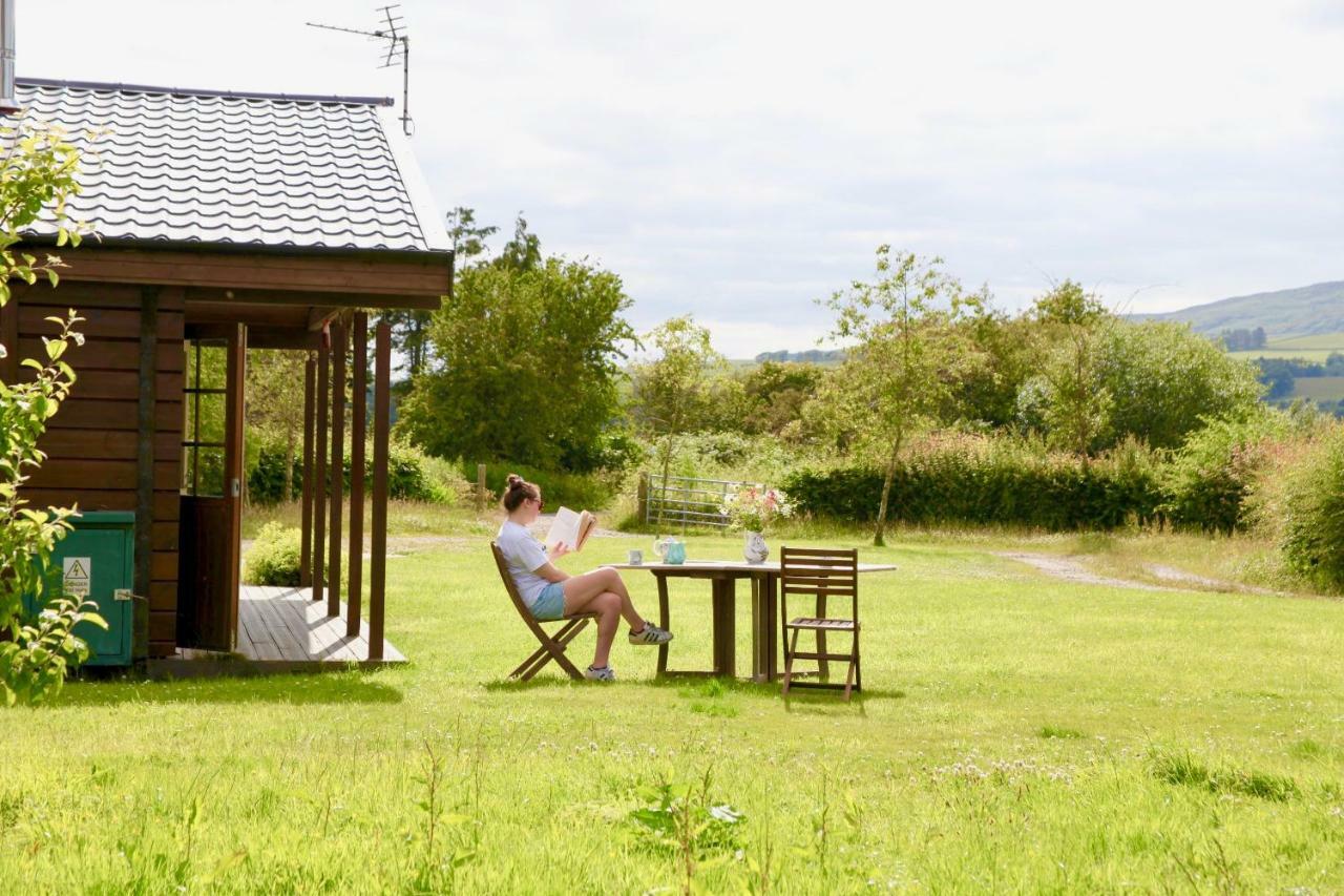 Holiday home Lapwing, Skylark & Curlew Seaside *